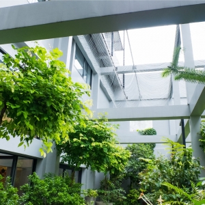 Eco Friendly Buildings